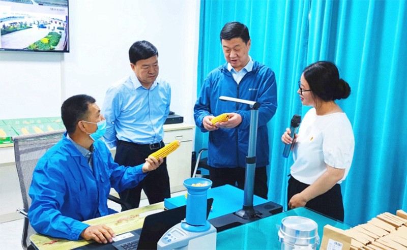 甘肅省地方金融監(jiān)管局、甘肅證監(jiān)局領(lǐng)導(dǎo)蒞臨敦煌種業(yè)調(diào)研指導(dǎo)