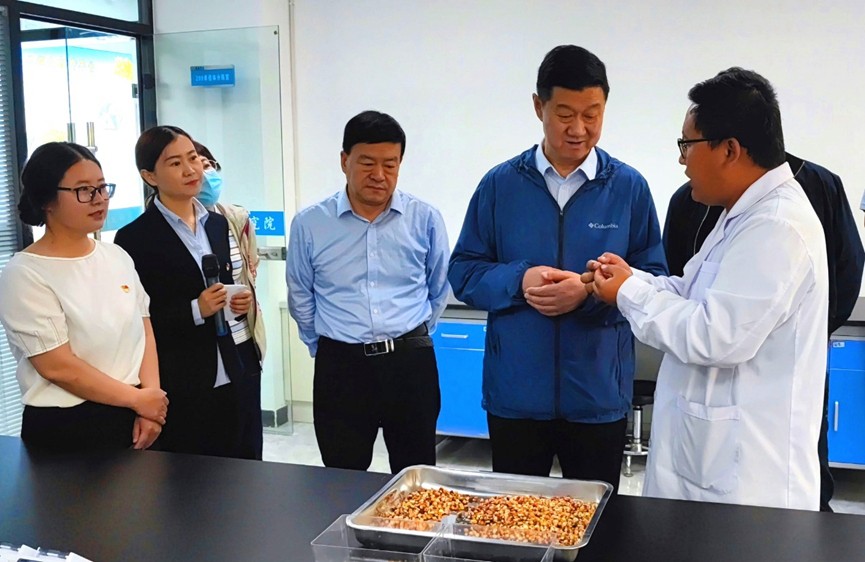 甘肅省地方金融監(jiān)管局、甘肅證監(jiān)局領(lǐng)導(dǎo)蒞臨敦煌種業(yè)調(diào)研指導(dǎo)