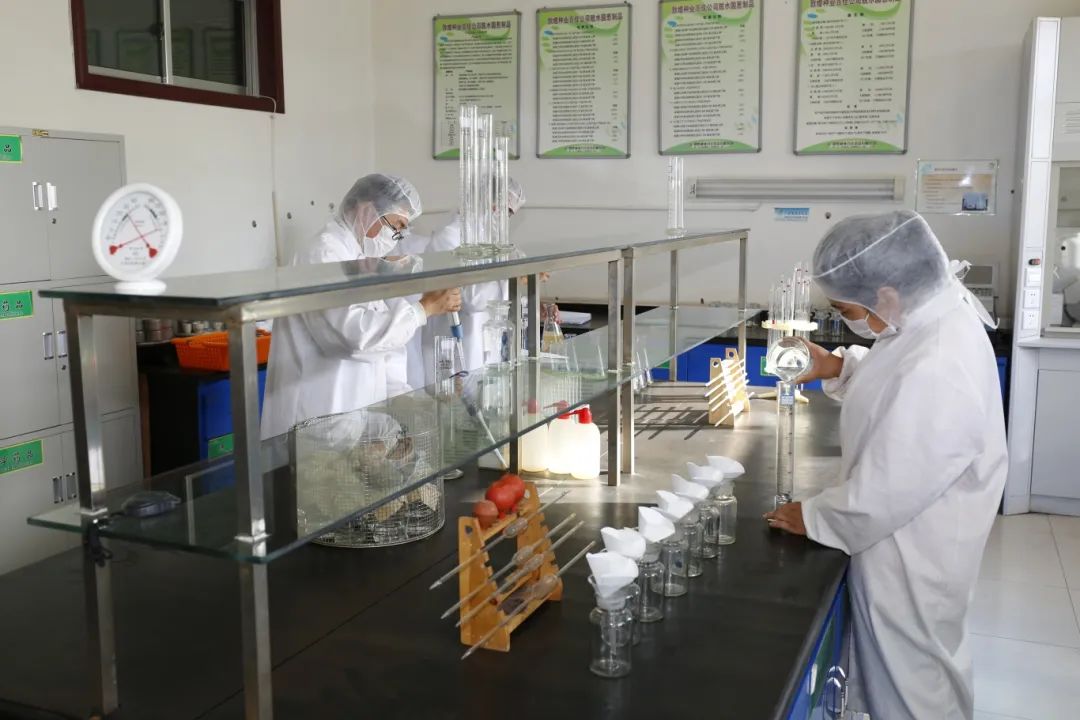 敦煌種業(yè)公司:播撒“希望種” 耕耘“夢想田”